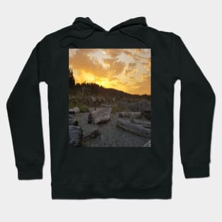 Nature Vancouver Island #50 Hoodie